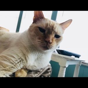 Meet your Posher, Kathie